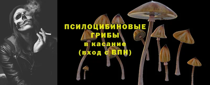 Псилоцибиновые грибы MAGIC MUSHROOMS Жигулёвск